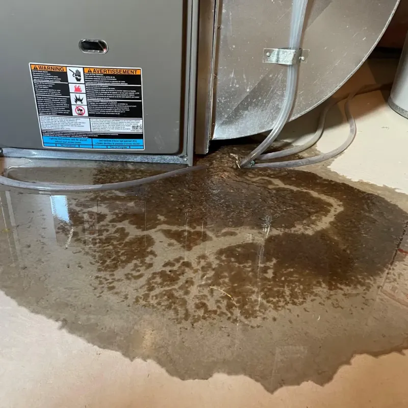 Appliance Leak Cleanup in Columbiana County, OH